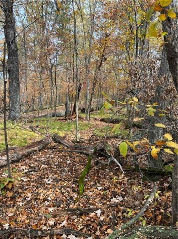 View of Land at Lot 4 Tiger Street, Princeton MN 55371, Princeton (25 of 32) - Mike Wilen | Minnesota Team Real Estate