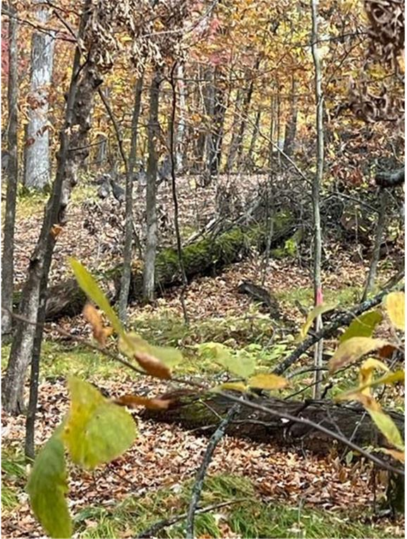 View of Land at Lot 4 Tiger Street, Princeton MN 55371, Princeton (24 of 32) - Mike Wilen | Minnesota Team Real Estate