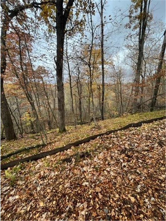 View of Land at Lot 4 Tiger Street, Princeton MN 55371, Princeton (22 of 32) - Mike Wilen | Minnesota Team Real Estate