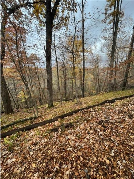 View of Land at Lot 4 Tiger Street, Princeton MN 55371, Princeton (21 of 32) - Mike Wilen | Minnesota Team Real Estate