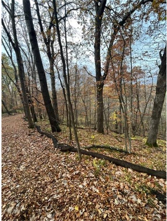 View of Land at Lot 4 Tiger Street, Princeton MN 55371, Princeton (20 of 32) - Mike Wilen | Minnesota Team Real Estate