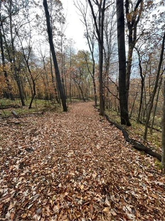 View of Land at Lot 4 Tiger Street, Princeton MN 55371, Princeton (19 of 32) - Mike Wilen | Minnesota Team Real Estate