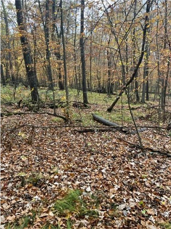 View of Land at Lot 4 Tiger Street, Princeton MN 55371, Princeton (18 of 32) - Mike Wilen | Minnesota Team Real Estate
