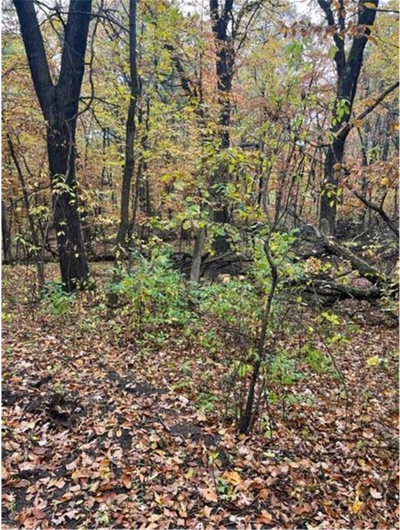 View of Land at Lot 4 Tiger Street, Princeton MN 55371, Princeton (17 of 32) - Mike Wilen | Minnesota Team Real Estate