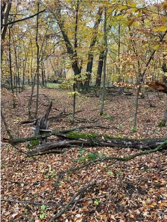 View of Land at Lot 4 Tiger Street, Princeton MN 55371, Princeton (15 of 32) - Mike Wilen | Minnesota Team Real Estate