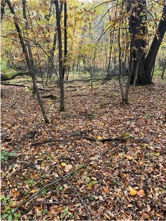 View of Land at Lot 4 Tiger Street, Princeton MN 55371, Princeton (14 of 32) - Mike Wilen | Minnesota Team Real Estate