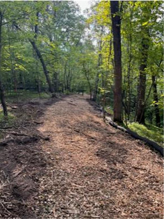 View of Land at Lot 4 Tiger Street, Princeton MN 55371, Princeton (12 of 32) - Mike Wilen | Minnesota Team Real Estate