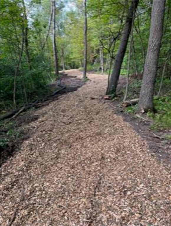 View of Land at Lot 4 Tiger Street, Princeton MN 55371, Princeton (9 of 32) - Mike Wilen | Minnesota Team Real Estate