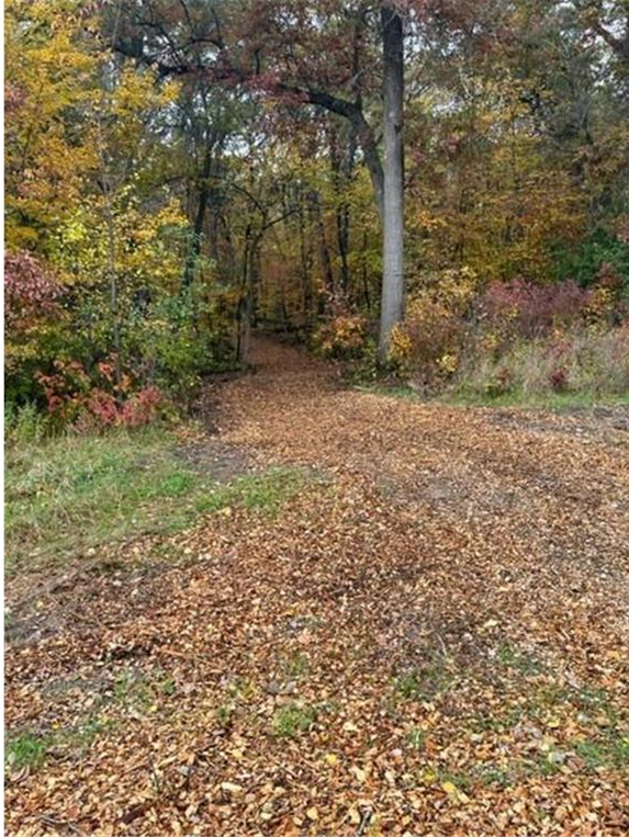 View of Land at Lot 4 Tiger Street, Princeton MN 55371, Princeton (5 of 32) - Mike Wilen | Minnesota Team Real Estate