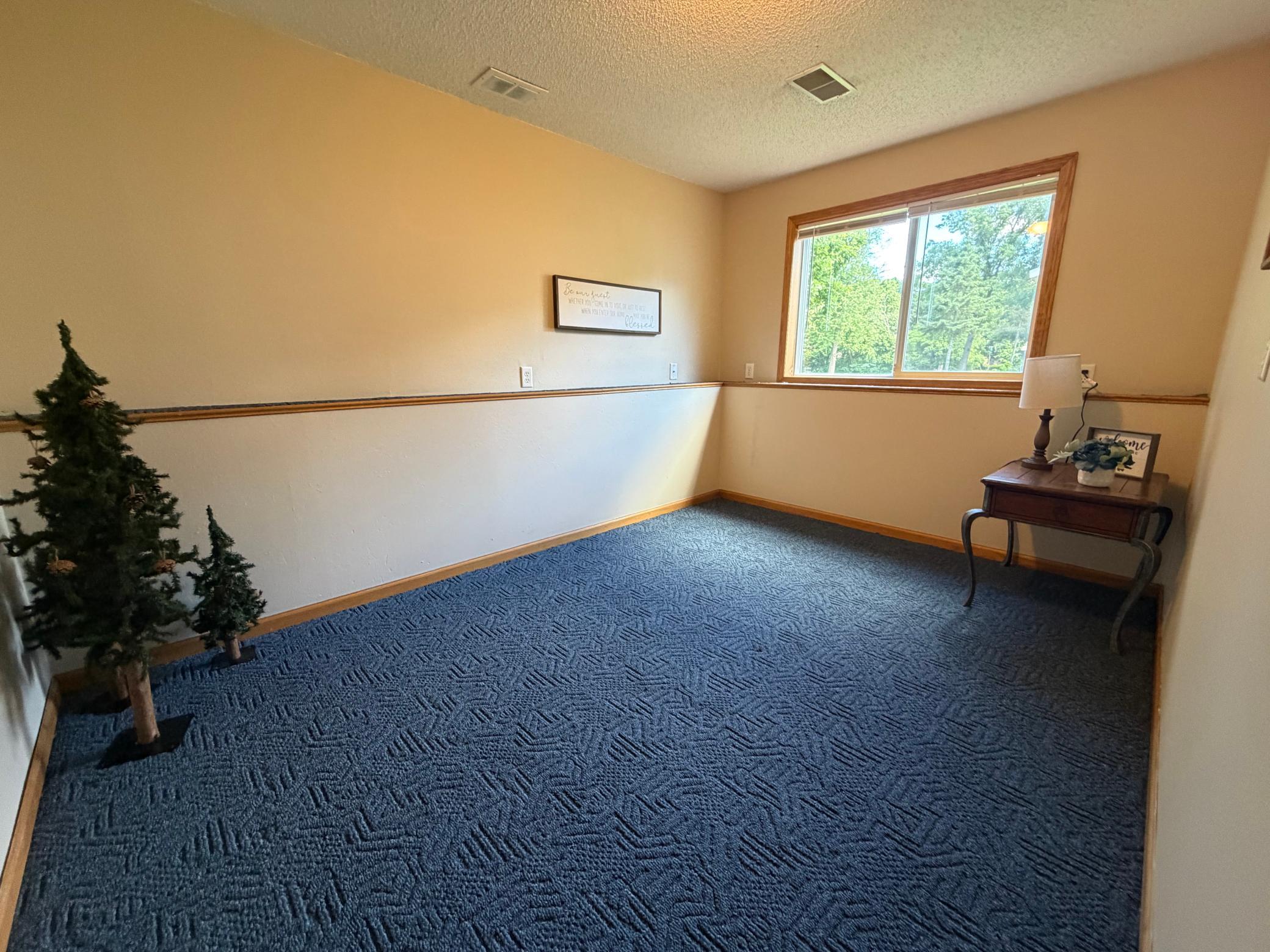 View of Residential at 4348 107th Avenue, Clear Lake MN 55319, Clear Lake (38 of 63) - Mike Wilen | Minnesota Team Real Estate