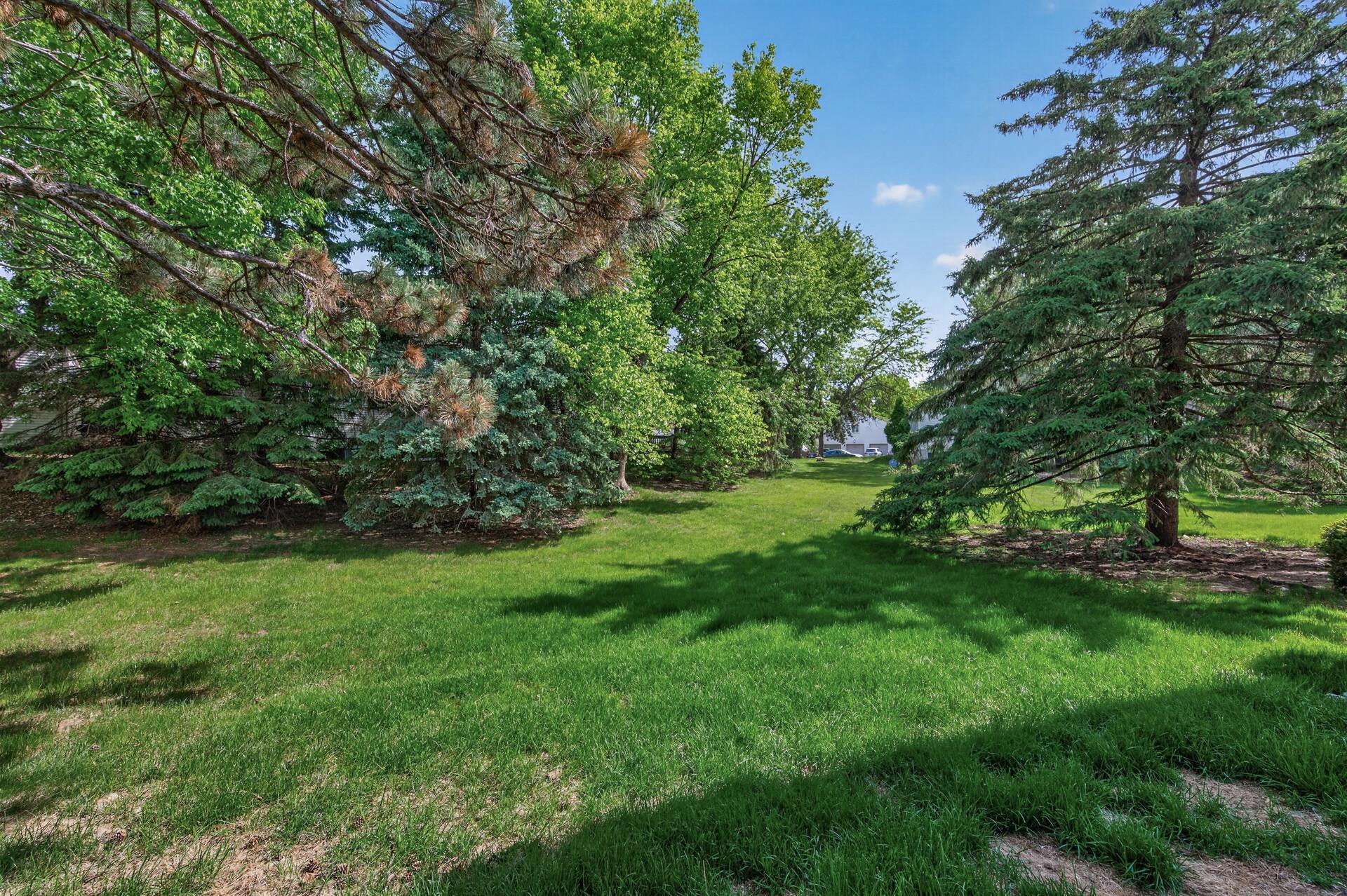 View of Residential at 313 Elan Court, Woodbury MN 55125, Woodbury (28 of 28) - Mike Wilen | Minnesota Team Real Estate