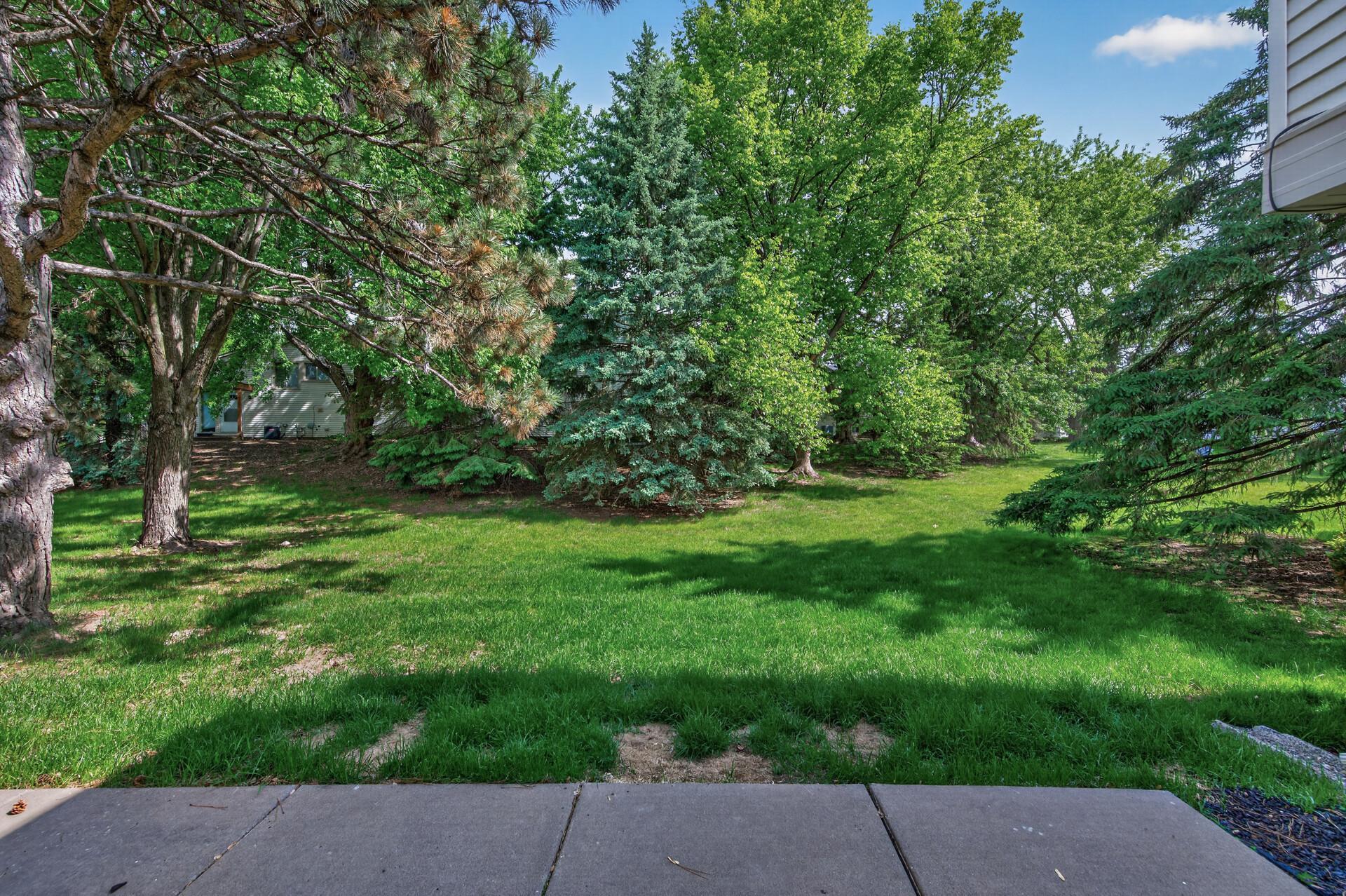 View of Residential at 313 Elan Court, Woodbury MN 55125, Woodbury (27 of 28) - Mike Wilen | Minnesota Team Real Estate