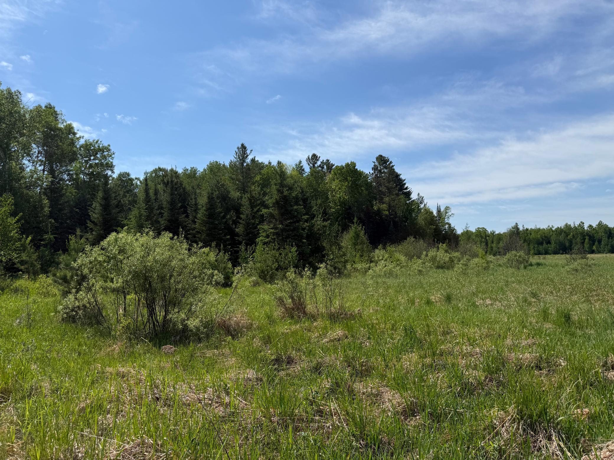 View of Land at 42330 Rutabaga Road, Askov MN 55704, Askov (2 of 32) - Mike Wilen | Minnesota Team Real Estate
