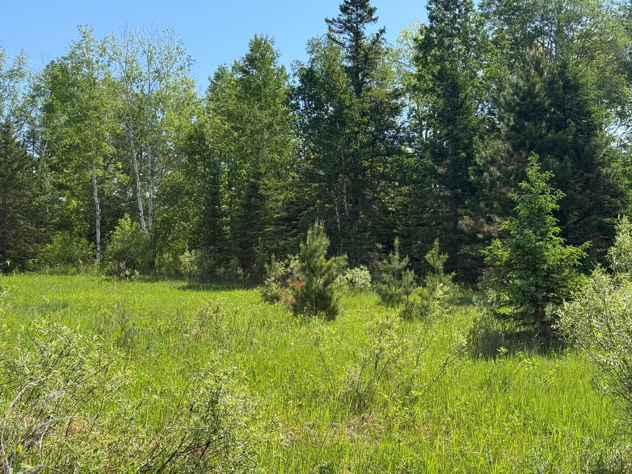 View of Land at 42330 Rutabaga Road, Askov MN 55704, Askov (27 of 32) - Mike Wilen | Minnesota Team Real Estate