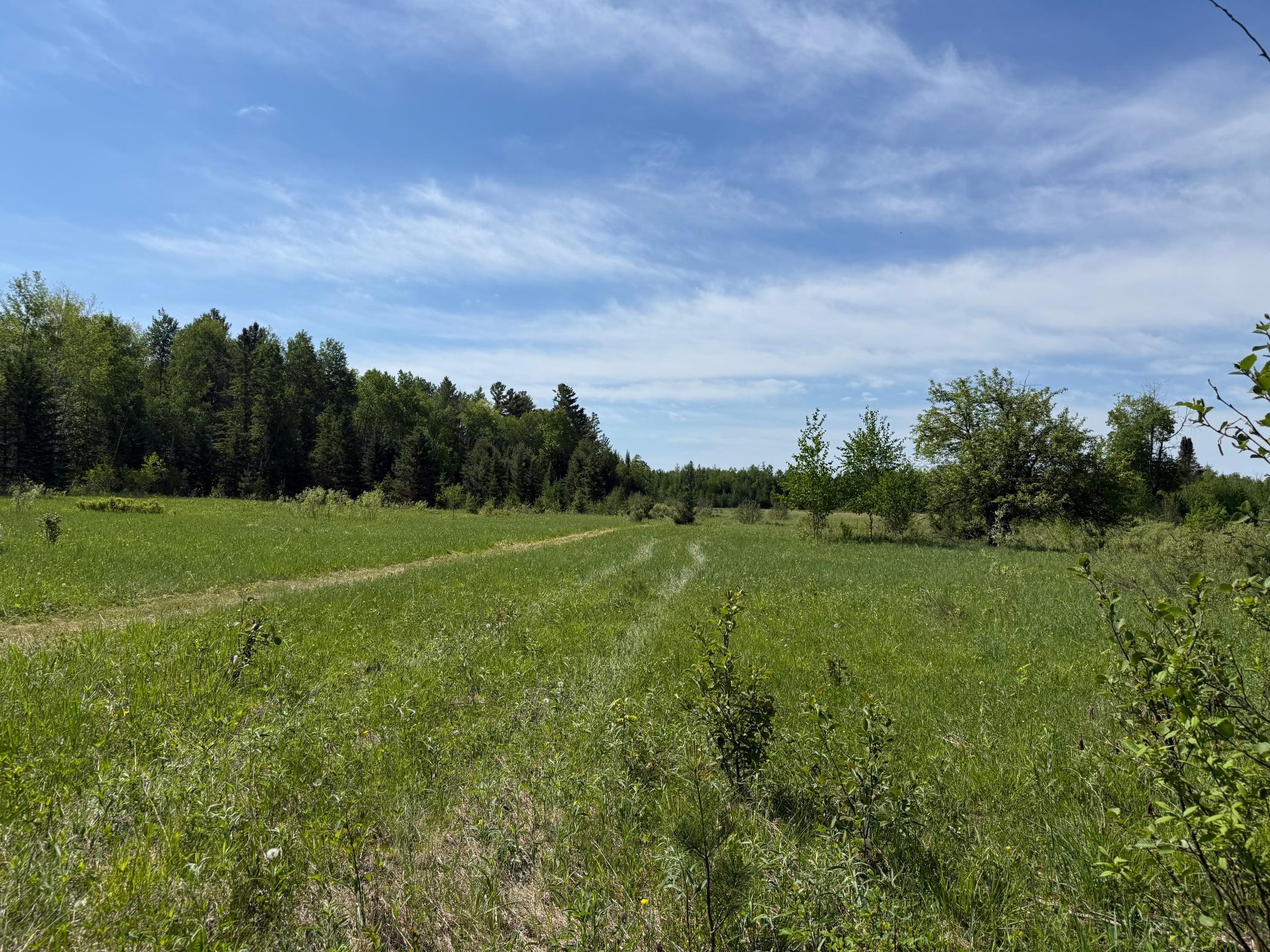 View of Land at 42330 Rutabaga Road, Askov MN 55704, Askov (26 of 32) - Mike Wilen | Minnesota Team Real Estate