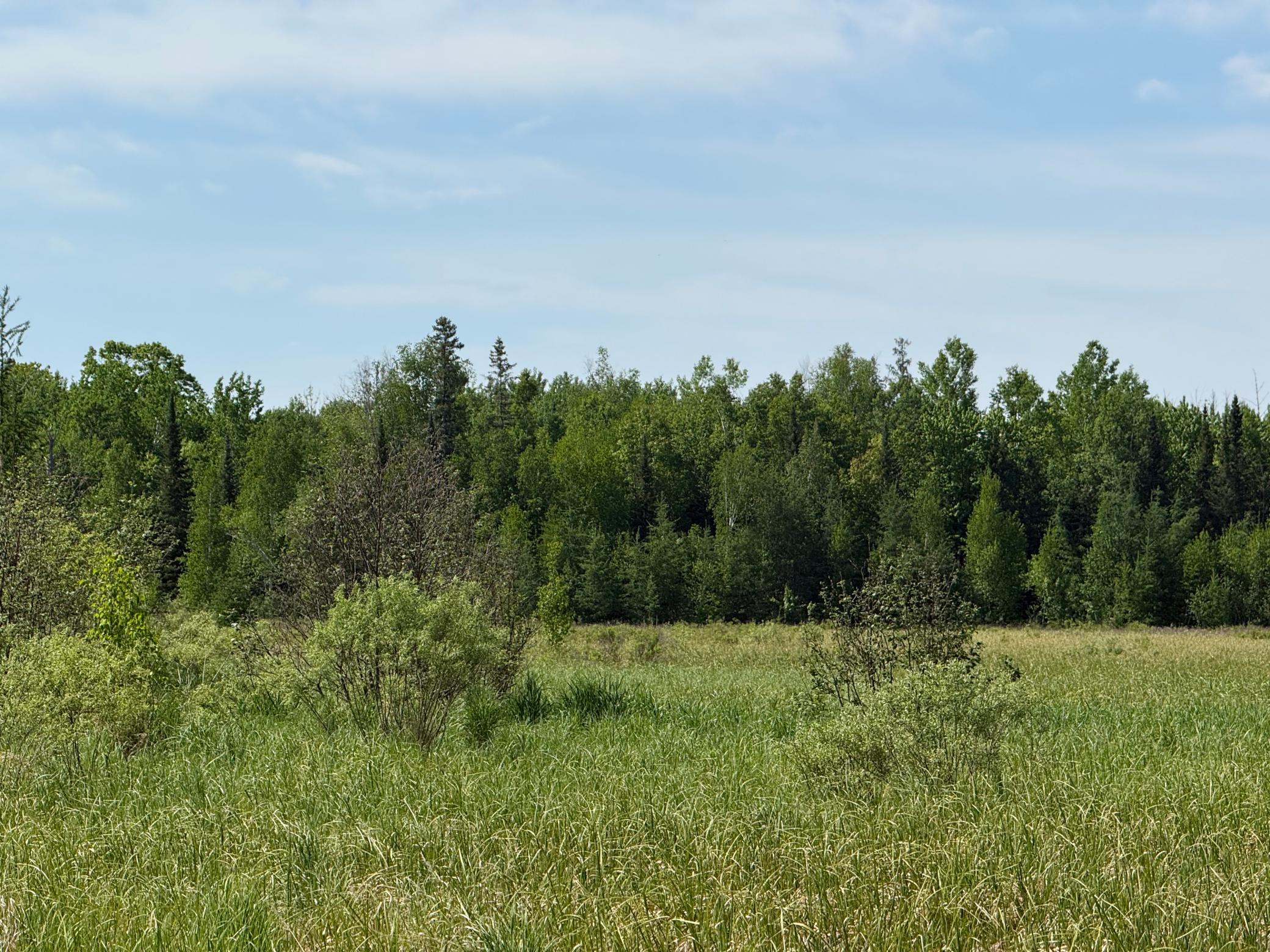 View of Land at 42330 Rutabaga Road, Askov MN 55704, Askov (28 of 32) - Mike Wilen | Minnesota Team Real Estate
