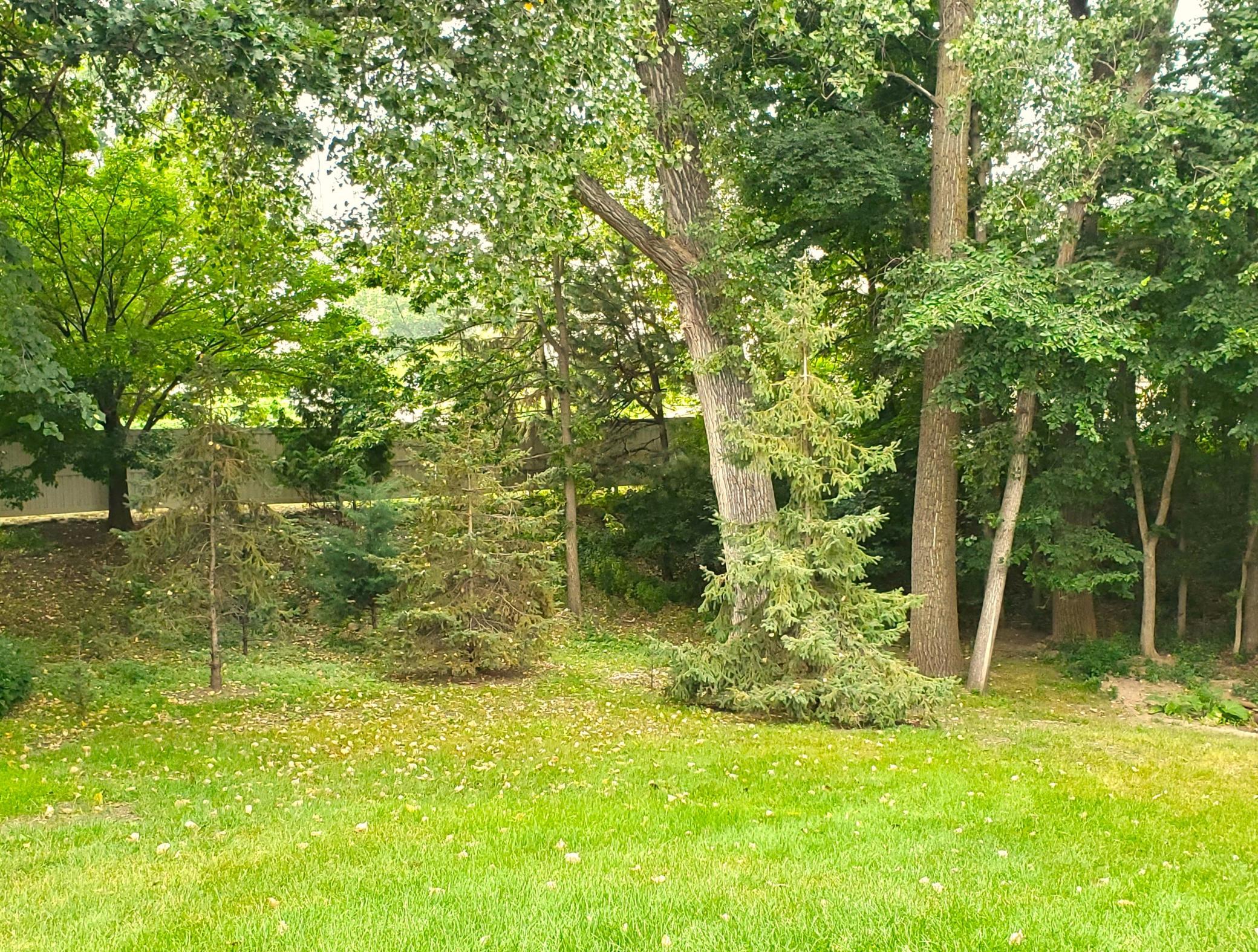 View of Residential at 4504 Laramie Trail, Minnetonka MN 55345, Minnetonka (5 of 30) - Mike Wilen | Minnesota Team Real Estate