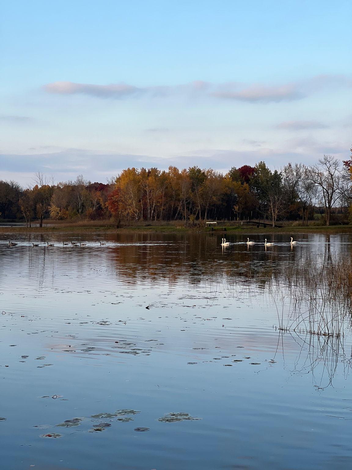 View of Residential at 5325 Fernwood Trail, North Branch MN 55056, North Branch (49 of 90) - Mike Wilen | Minnesota Team Real Estate