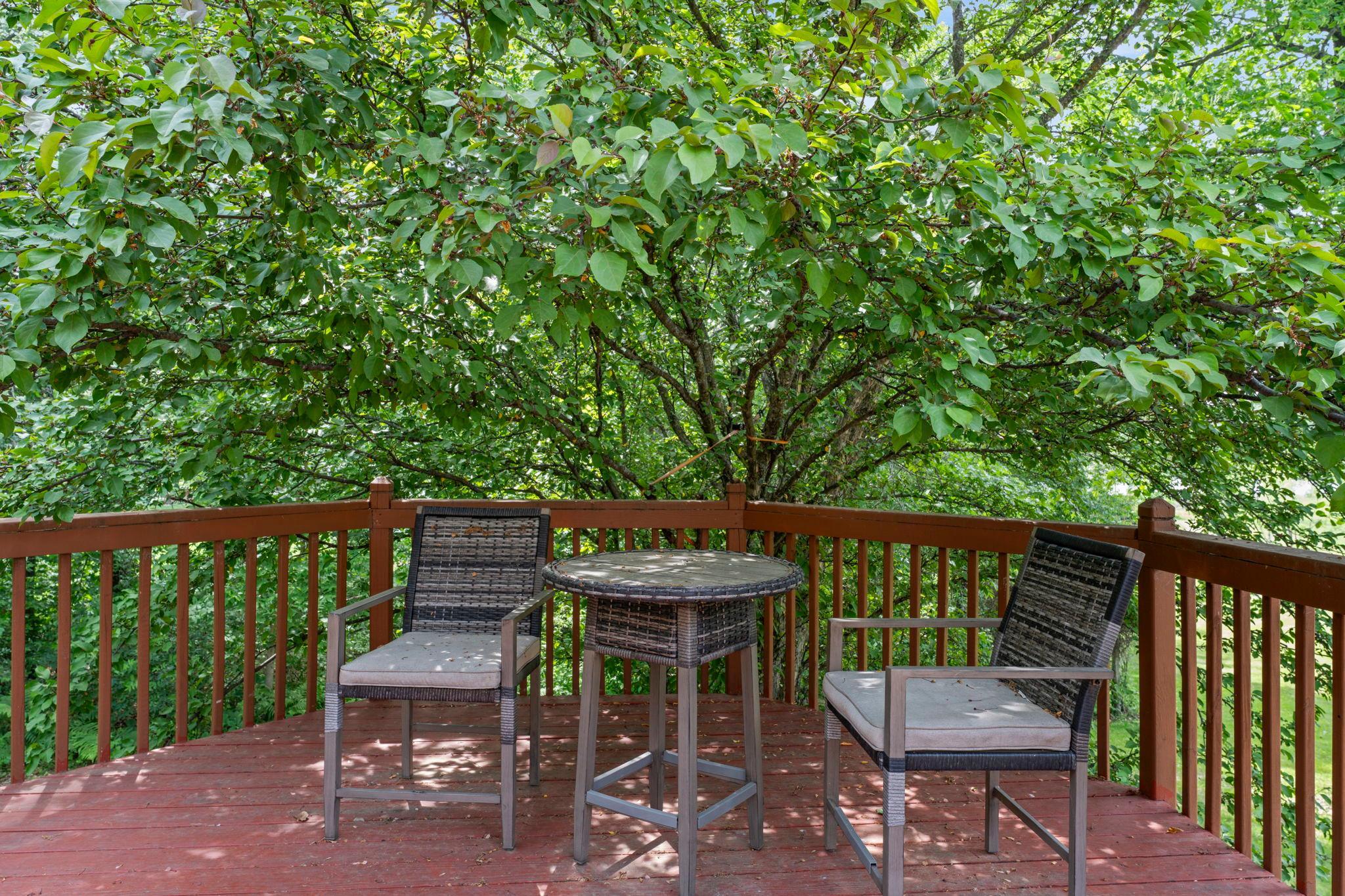 View of Residential at 5325 Fernwood Trail, North Branch MN 55056, North Branch (78 of 90) - Mike Wilen | Minnesota Team Real Estate