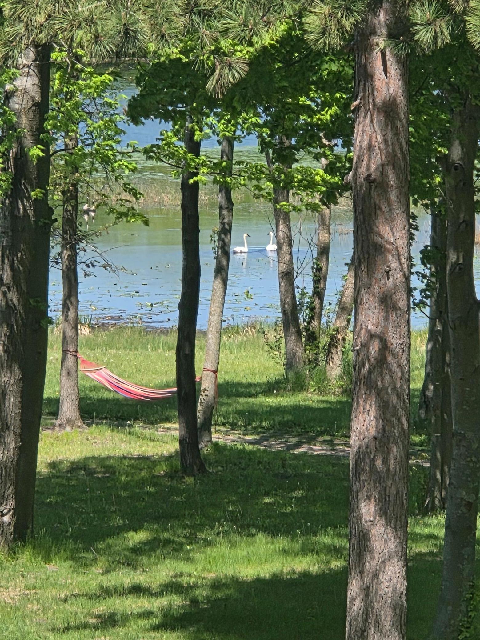 View of Residential at 5325 Fernwood Trail, North Branch MN 55056, North Branch (46 of 90) - Mike Wilen | Minnesota Team Real Estate