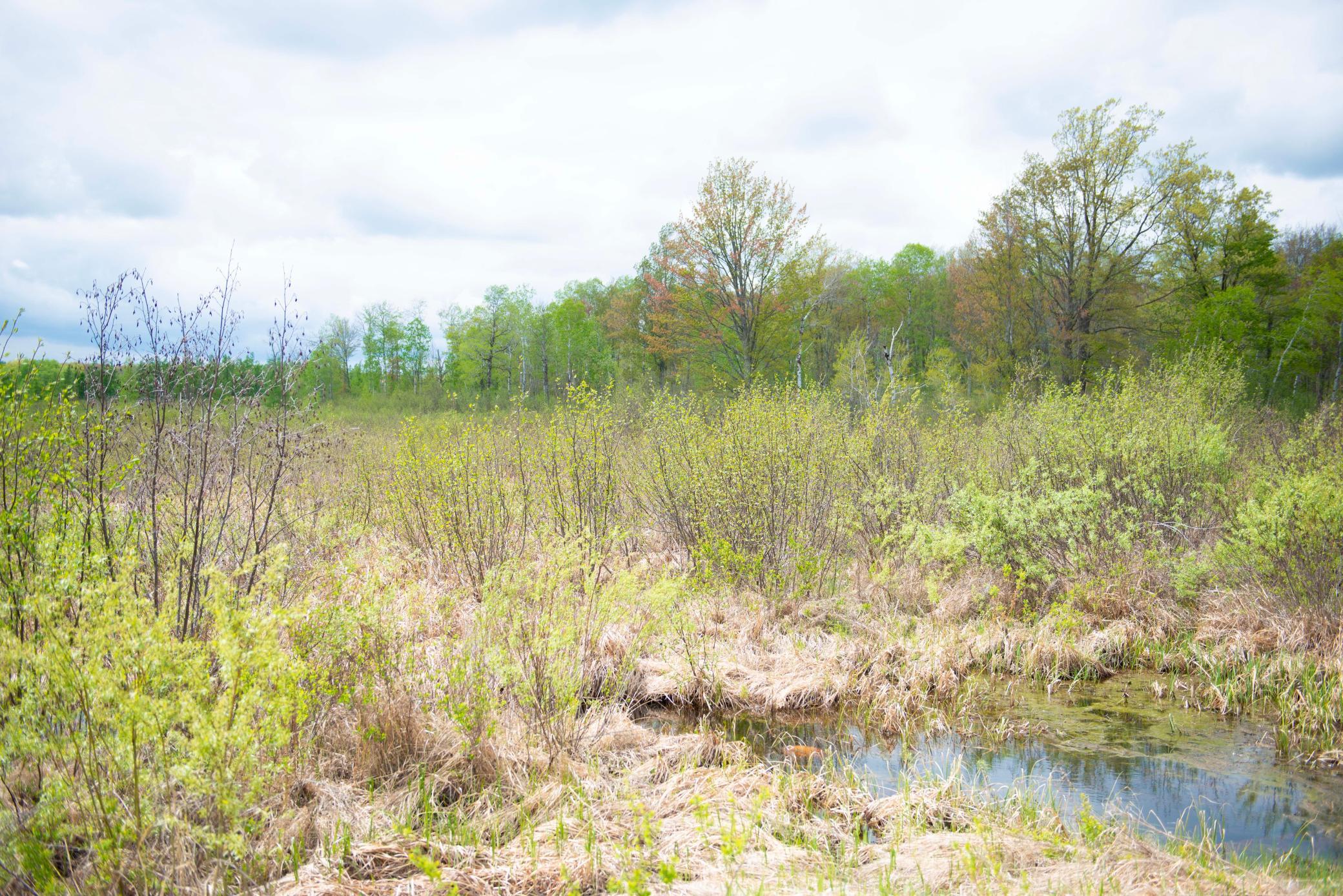 View of Land at TBD-20AC Velvet Street, Sandstone MN 55072, Sandstone (64 of 68) - Mike Wilen | Minnesota Team Real Estate