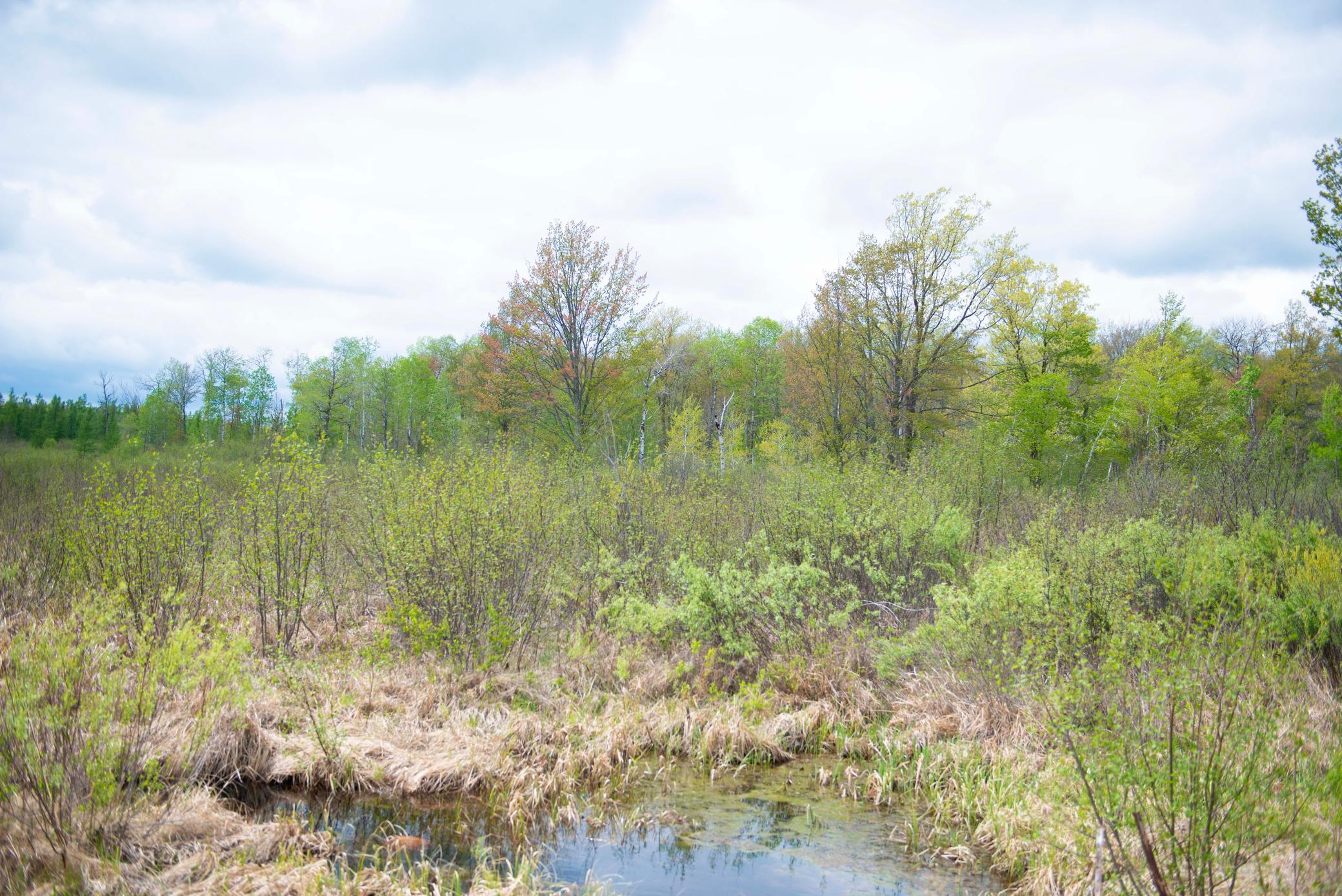View of Land at TBD-20AC Velvet Street, Sandstone MN 55072, Sandstone (62 of 68) - Mike Wilen | Minnesota Team Real Estate