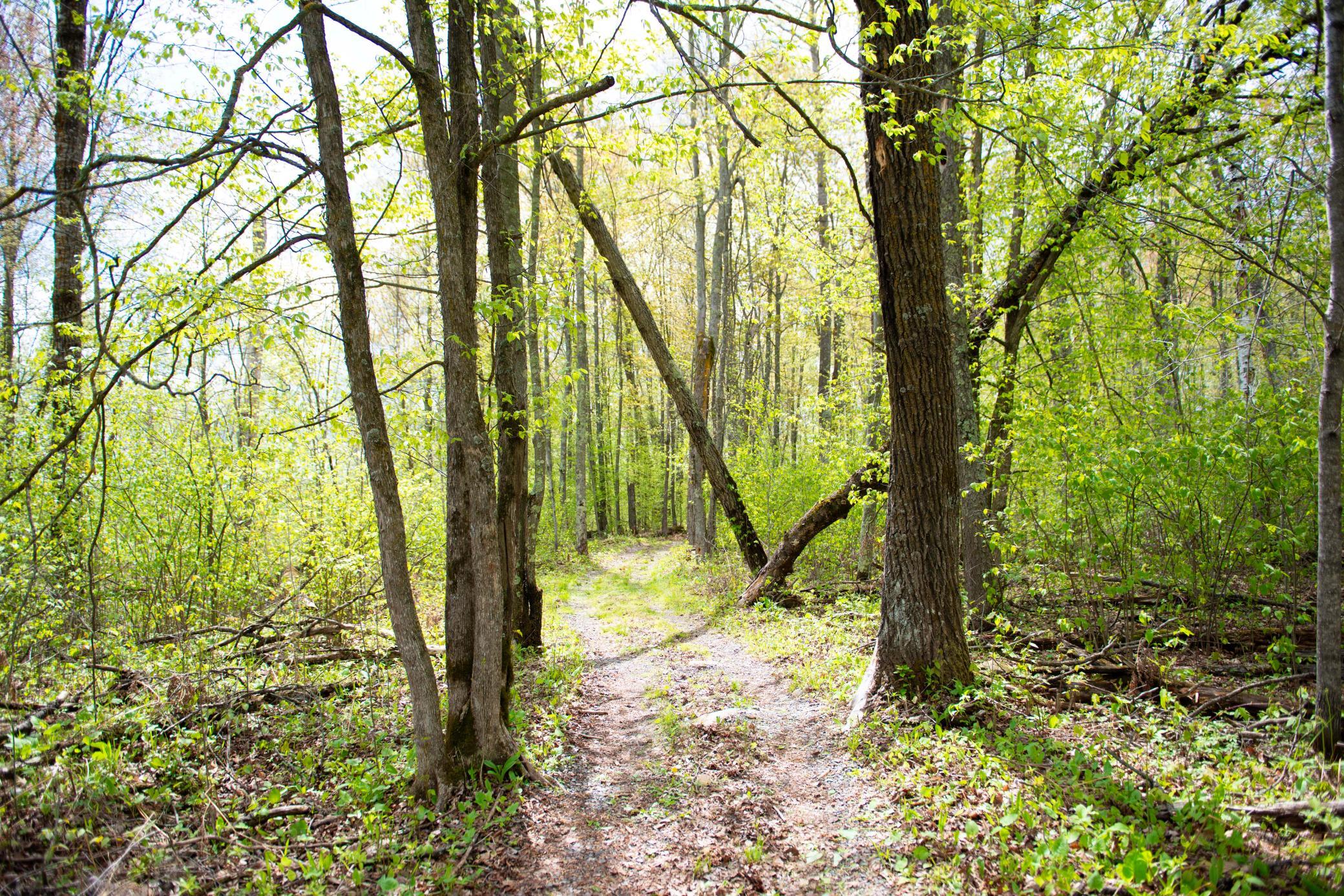 View of Land at TBD-20AC Velvet Street, Sandstone MN 55072, Sandstone (2 of 68) - Mike Wilen | Minnesota Team Real Estate