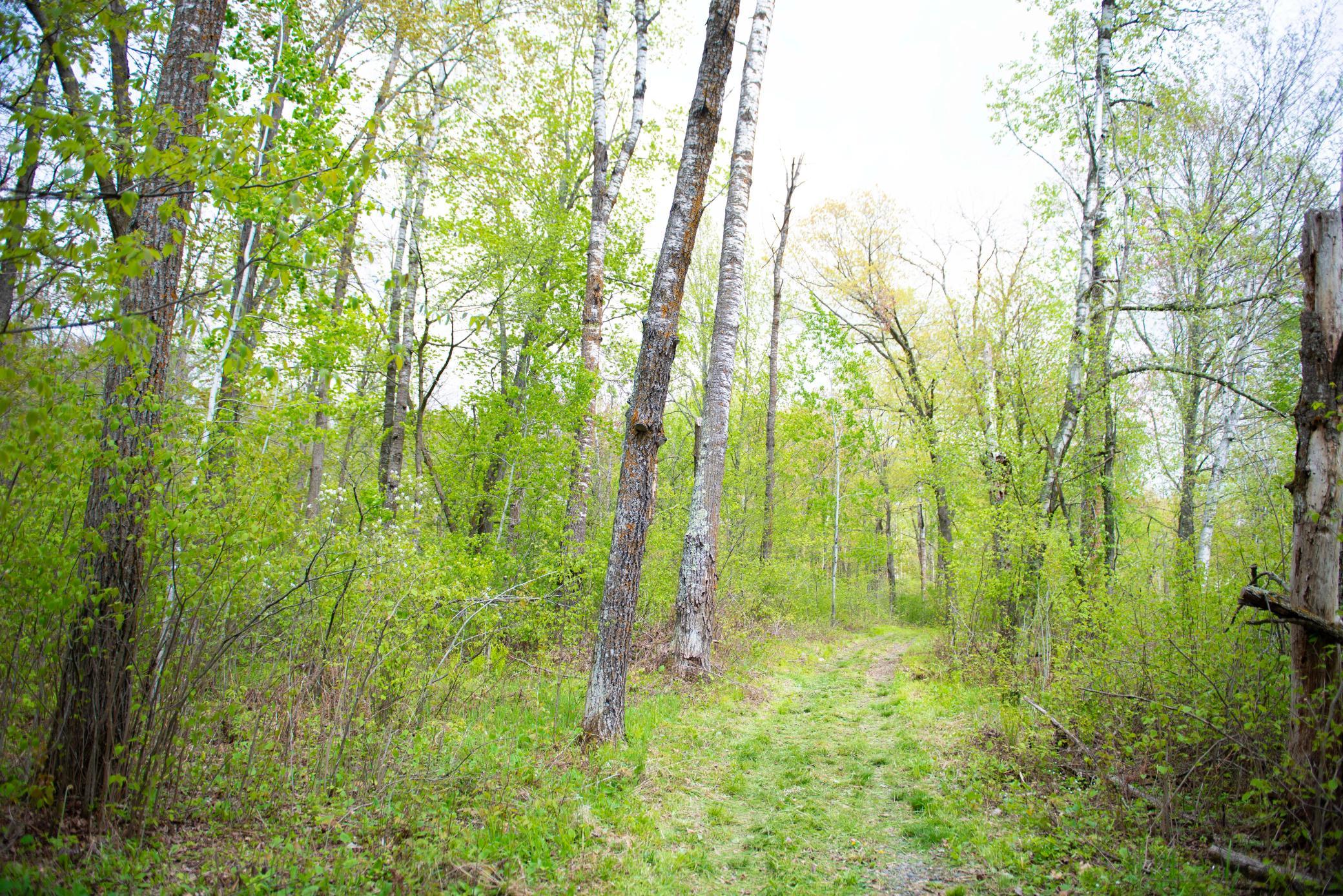 View of Land at TBD-20AC Velvet Street, Sandstone MN 55072, Sandstone (45 of 68) - Mike Wilen | Minnesota Team Real Estate