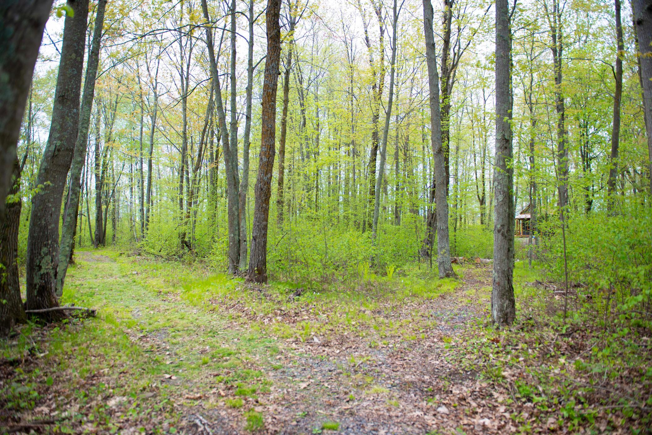 View of Land at TBD-20AC Velvet Street, Sandstone MN 55072, Sandstone (40 of 68) - Mike Wilen | Minnesota Team Real Estate