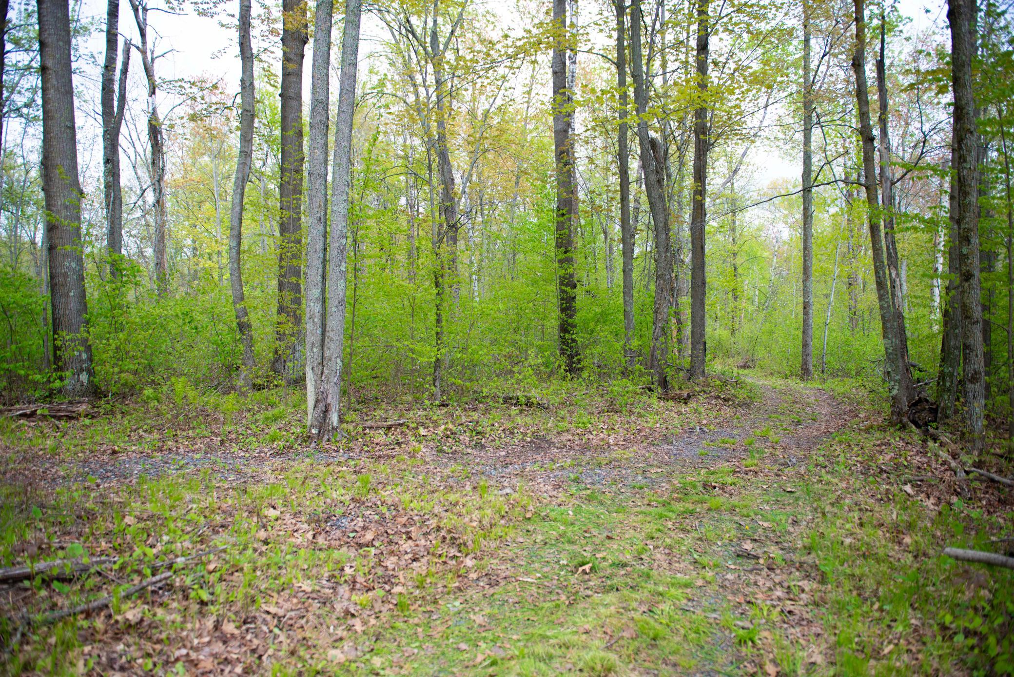 View of Land at TBD-20AC Velvet Street, Sandstone MN 55072, Sandstone (38 of 68) - Mike Wilen | Minnesota Team Real Estate