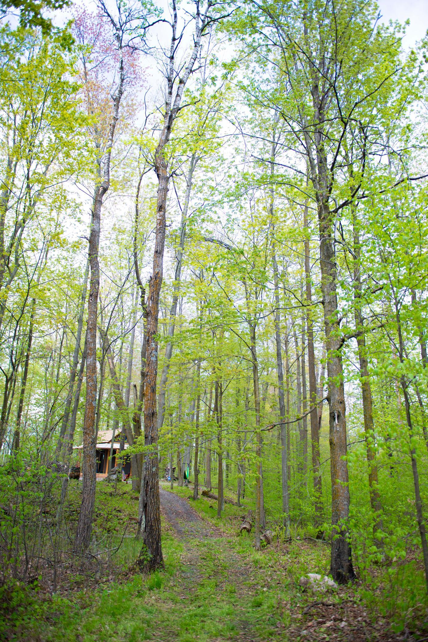View of Land at TBD-20AC Velvet Street, Sandstone MN 55072, Sandstone (60 of 68) - Mike Wilen | Minnesota Team Real Estate