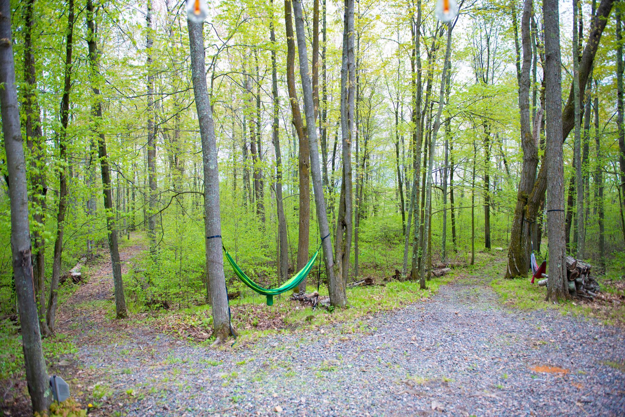 View of Land at TBD-20AC Velvet Street, Sandstone MN 55072, Sandstone (21 of 68) - Mike Wilen | Minnesota Team Real Estate
