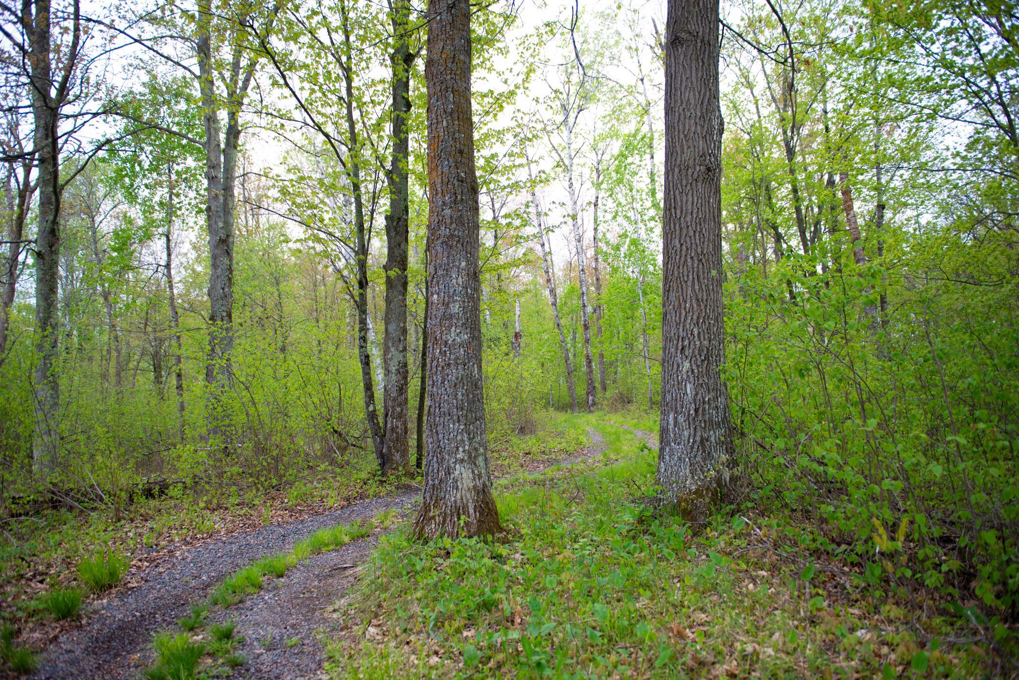 View of Land at TBD-20AC Velvet Street, Sandstone MN 55072, Sandstone (18 of 68) - Mike Wilen | Minnesota Team Real Estate