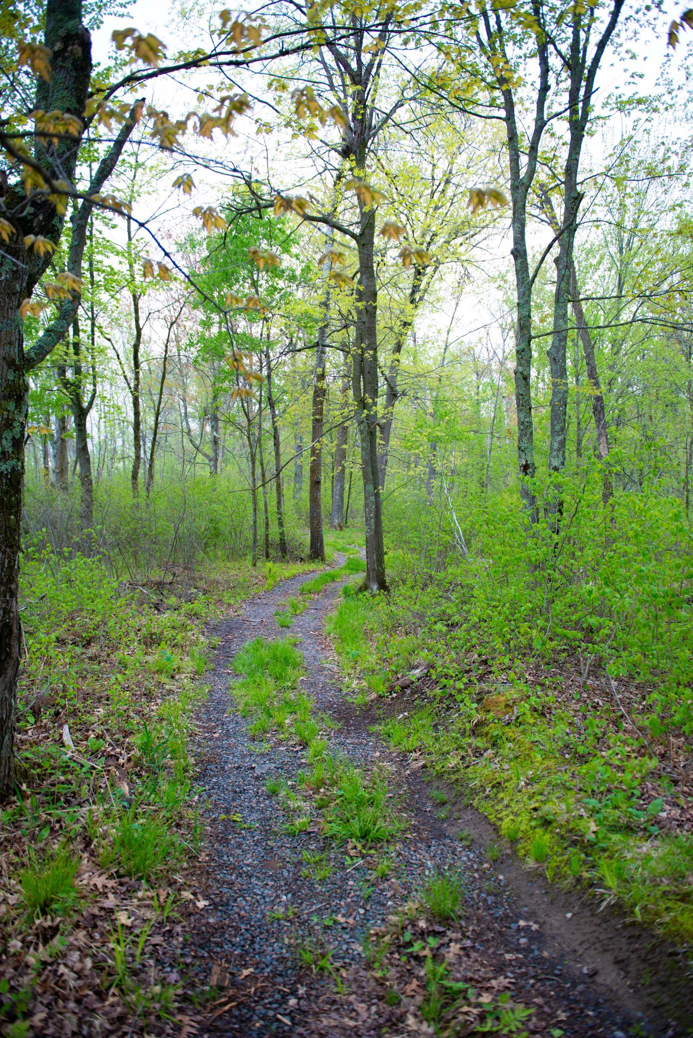 View of Land at TBD-20AC Velvet Street, Sandstone MN 55072, Sandstone (16 of 68) - Mike Wilen | Minnesota Team Real Estate