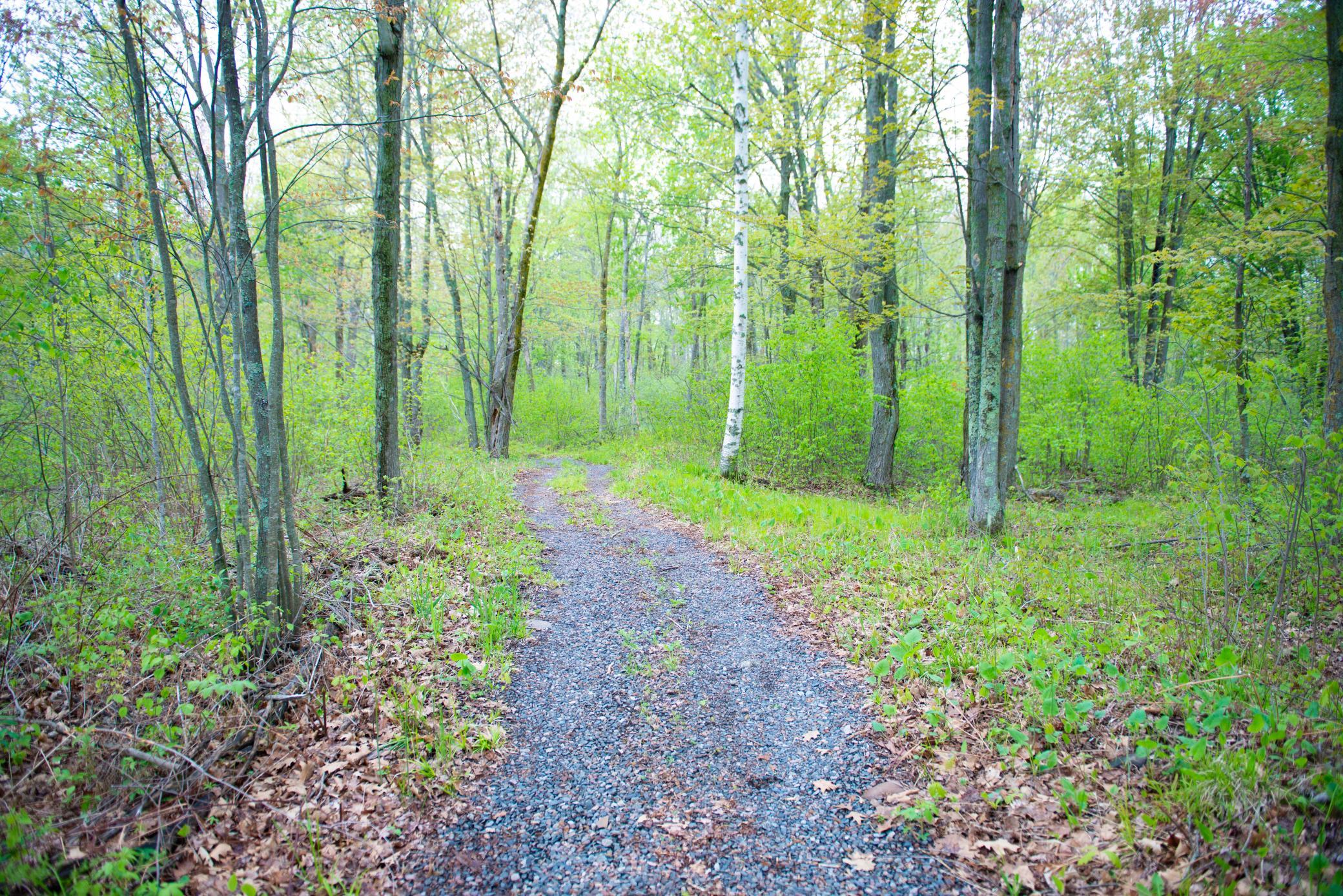 View of Land at TBD-20AC Velvet Street, Sandstone MN 55072, Sandstone (10 of 68) - Mike Wilen | Minnesota Team Real Estate