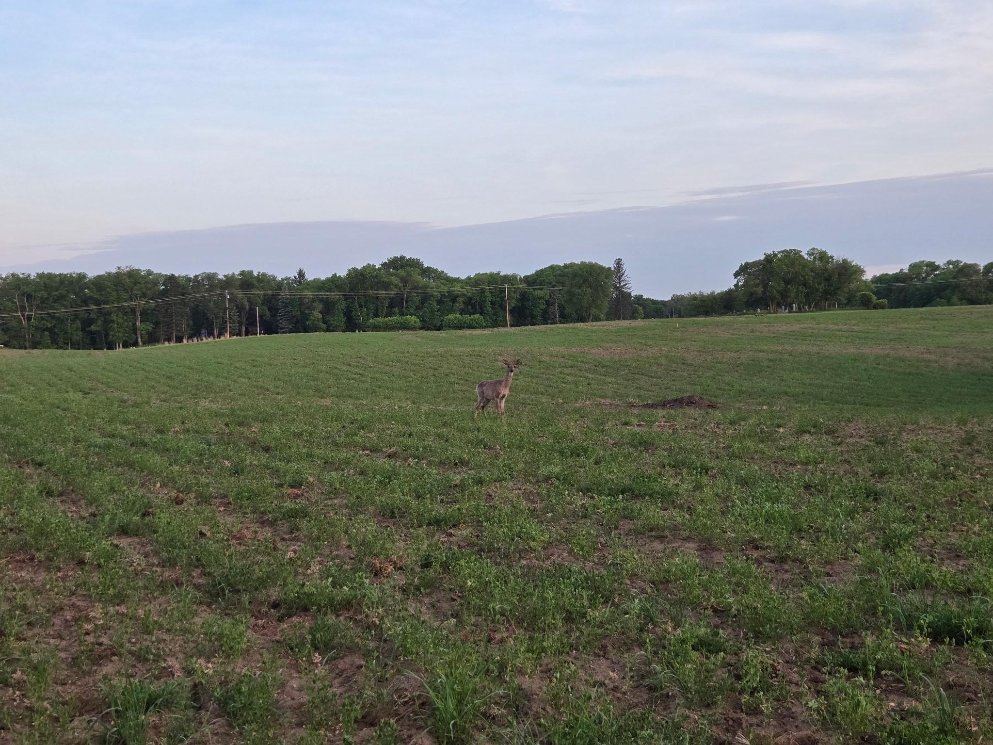 View of Land at TBD Parcel B County Rd 5, Princeton MN 55371, Princeton (2 of 5) - Mike Wilen | Minnesota Team Real Estate