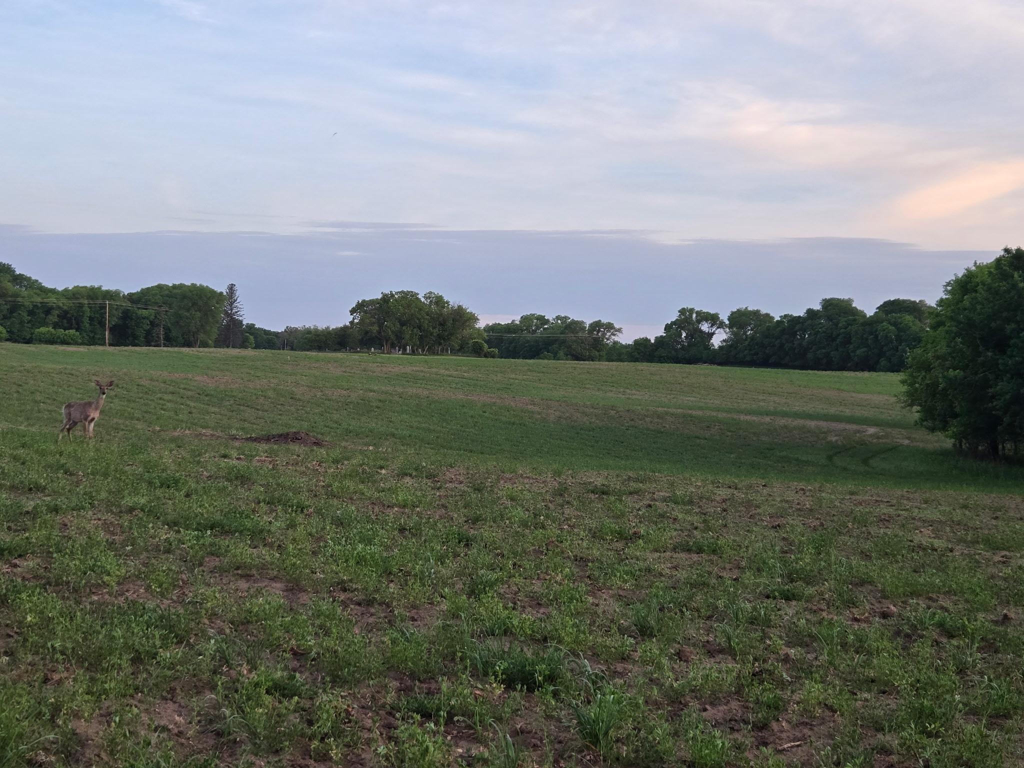 View of Land at TBD Parcel B County Rd 5, Princeton MN 55371, Princeton (3 of 5) - Mike Wilen | Minnesota Team Real Estate