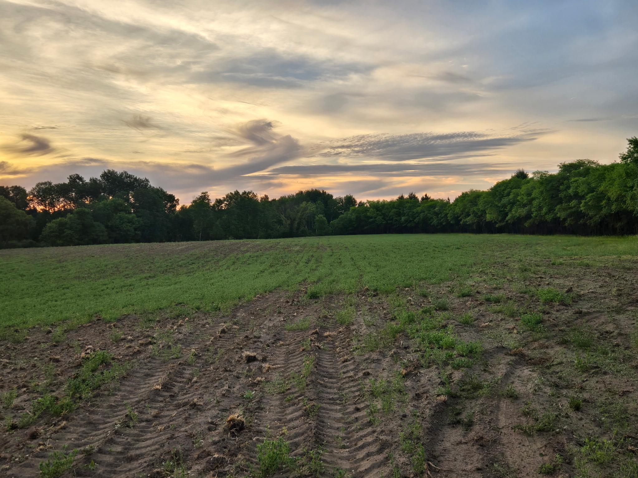 View of Land at TBD Parcel B County Rd 5, Princeton MN 55371, Princeton (4 of 5) - Mike Wilen | Minnesota Team Real Estate