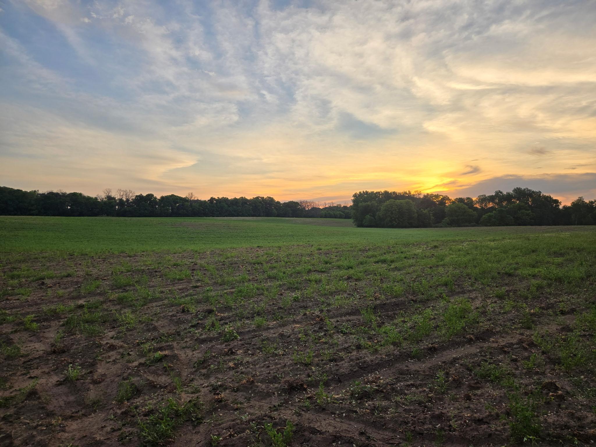 View of Land at TBD Parcel B County Rd 5, Princeton MN 55371, Princeton (5 of 5) - Mike Wilen | Minnesota Team Real Estate