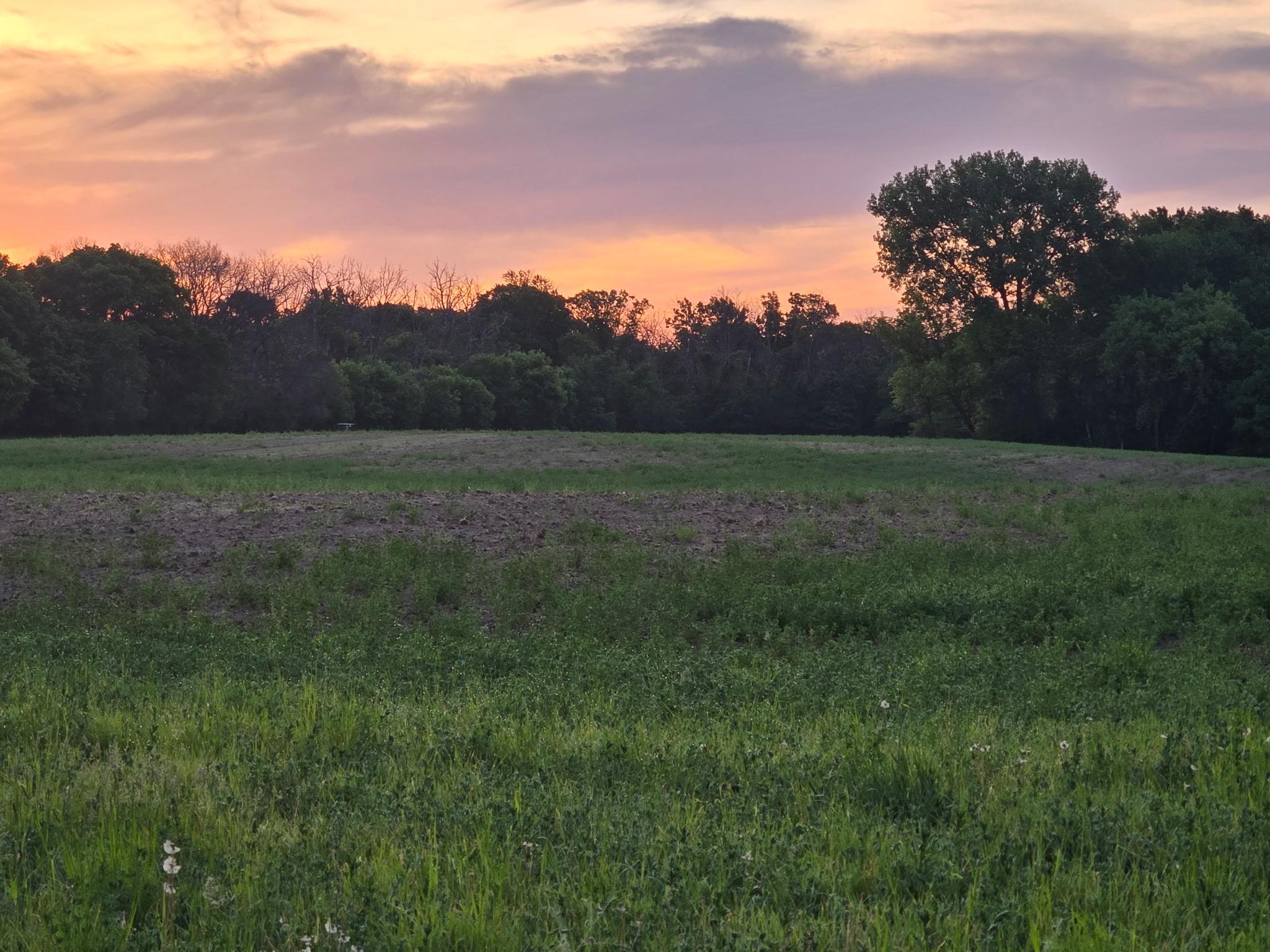 View of Land at TBD Parcel A County Rd 5, Princeton MN 55371, Princeton - Mike Wilen | Minnesota Team Real Estate