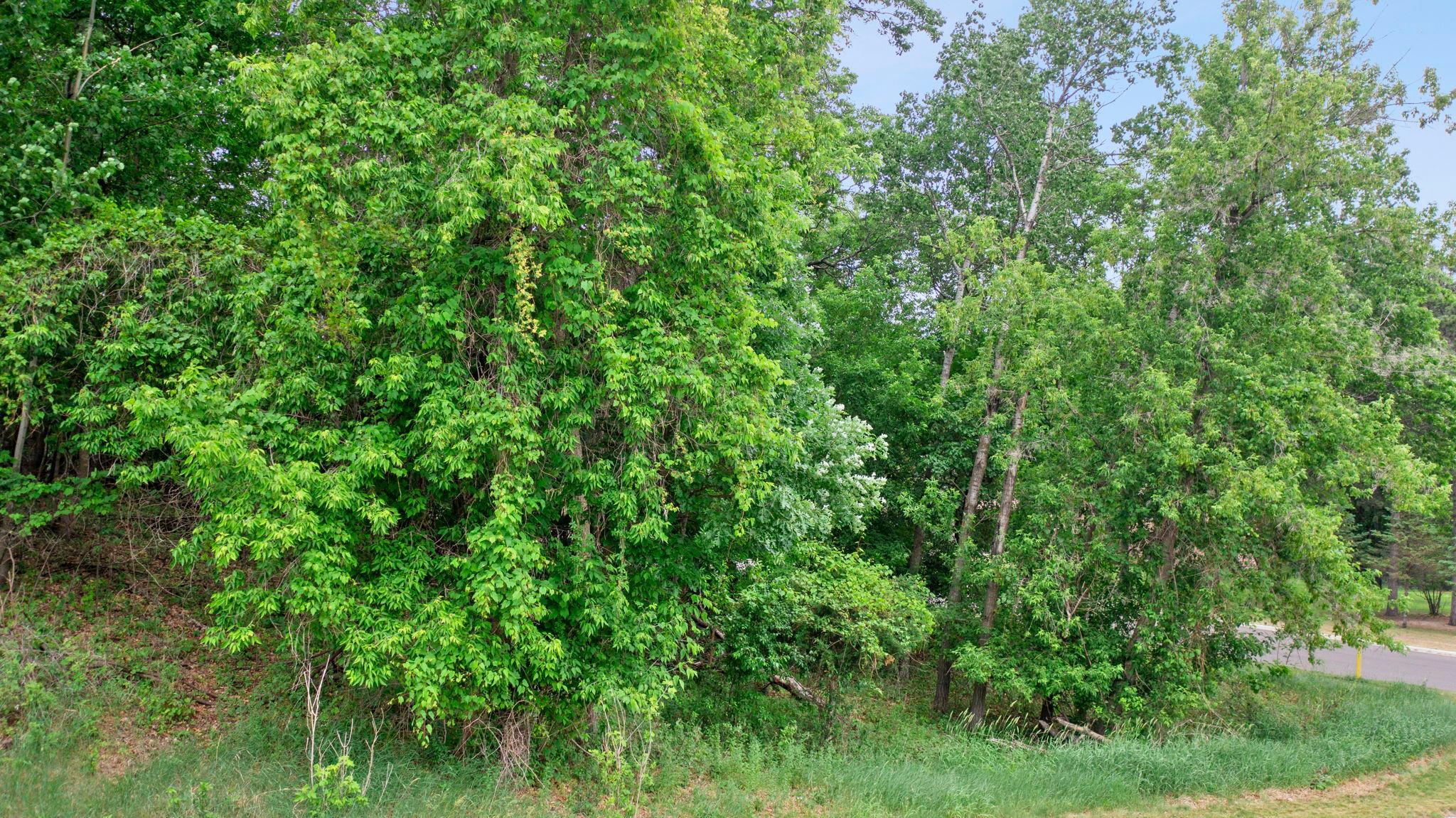 View of Land at 3115 Laurel Street, Cambridge MN 55008, Cambridge (7 of 17) - Mike Wilen | Minnesota Team Real Estate