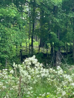 View of Land at 4188 161st Lane, Ham Lake MN 55304, Ham Lake (2 of 4) - Mike Wilen | Minnesota Team Real Estate