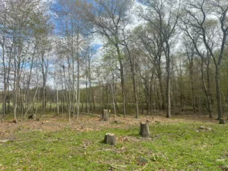 View of Land at 4188 161st Lane, Ham Lake MN 55304, Ham Lake (3 of 4) - Mike Wilen | Minnesota Team Real Estate