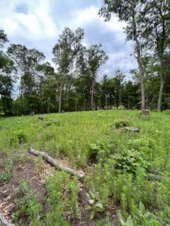 View of Land at 4188 161st Lane, Ham Lake MN 55304, Ham Lake - Mike Wilen | Minnesota Team Real Estate