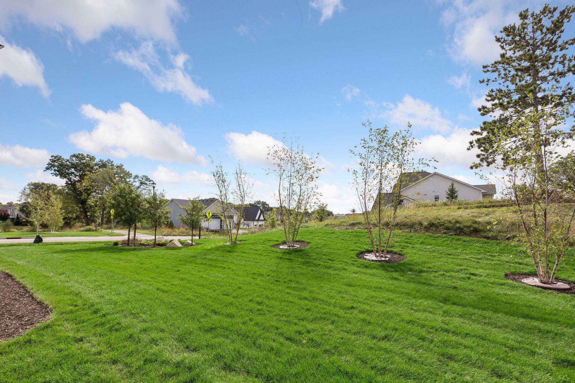 View of Residential at 6248 Harkness Alcove, Cottage Grove MN 55016, Cottage Grove (129 of 135) - Mike Wilen | Minnesota Team Real Estate