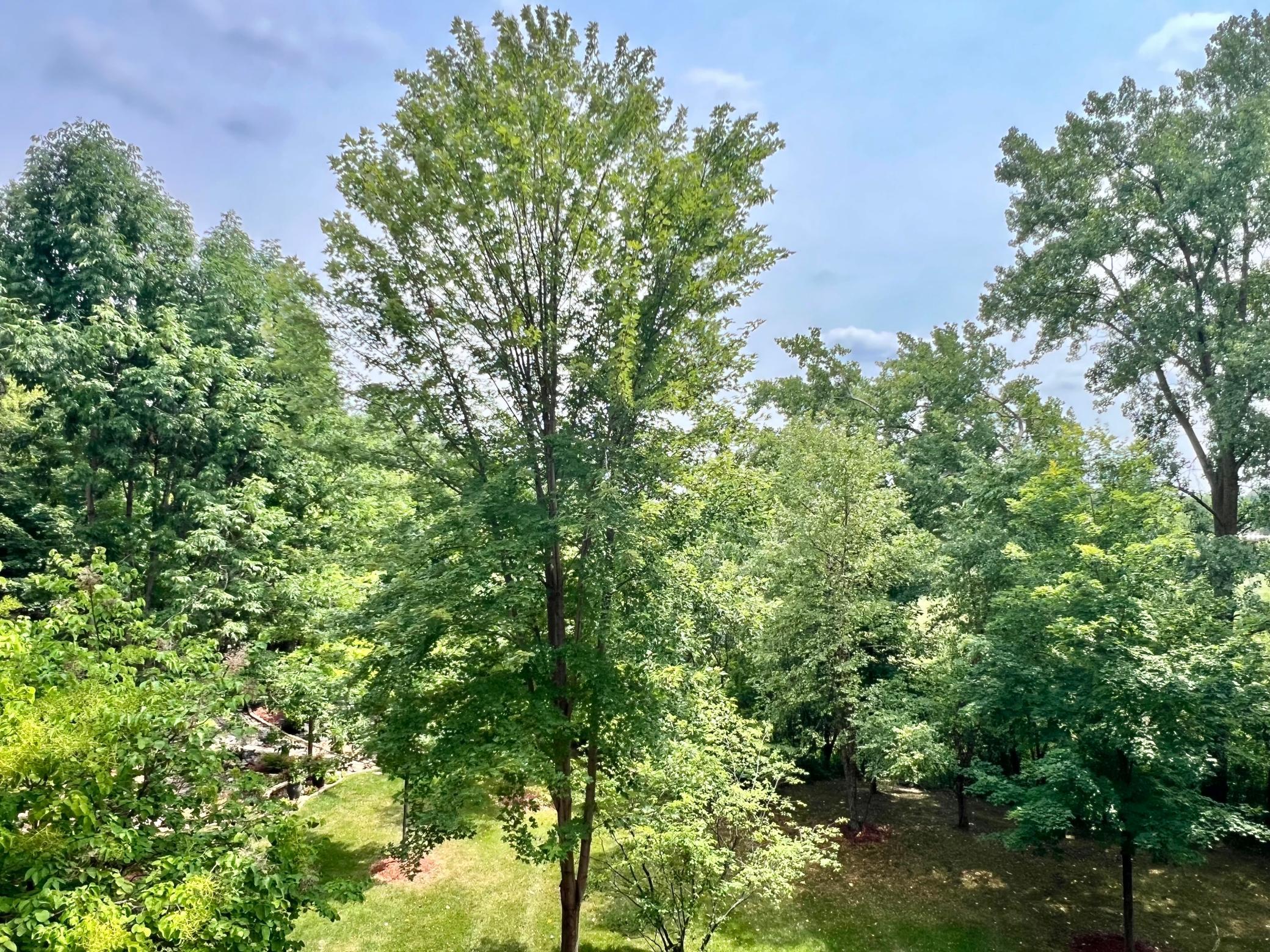 View of Residential at 408 Parkers Lake Road #206, Wayzata MN 55391, Wayzata (24 of 82) - Mike Wilen | Minnesota Team Real Estate