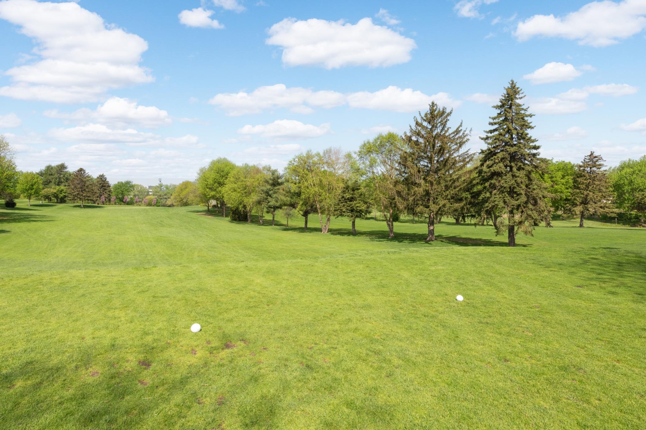 View of Residential at 1495 County Road B2 W, Roseville MN 55113, Roseville (36 of 38) - Mike Wilen | Minnesota Team Real Estate