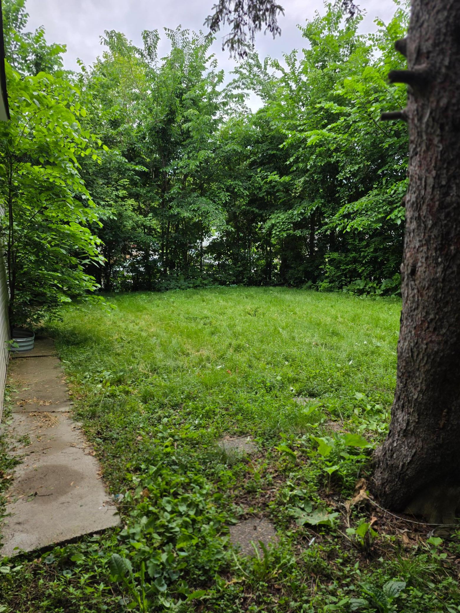 View of Residential at 424 33rd Avenue, Minneapolis MN 55412, Minneapolis (12 of 13) - Mike Wilen | Minnesota Team Real Estate