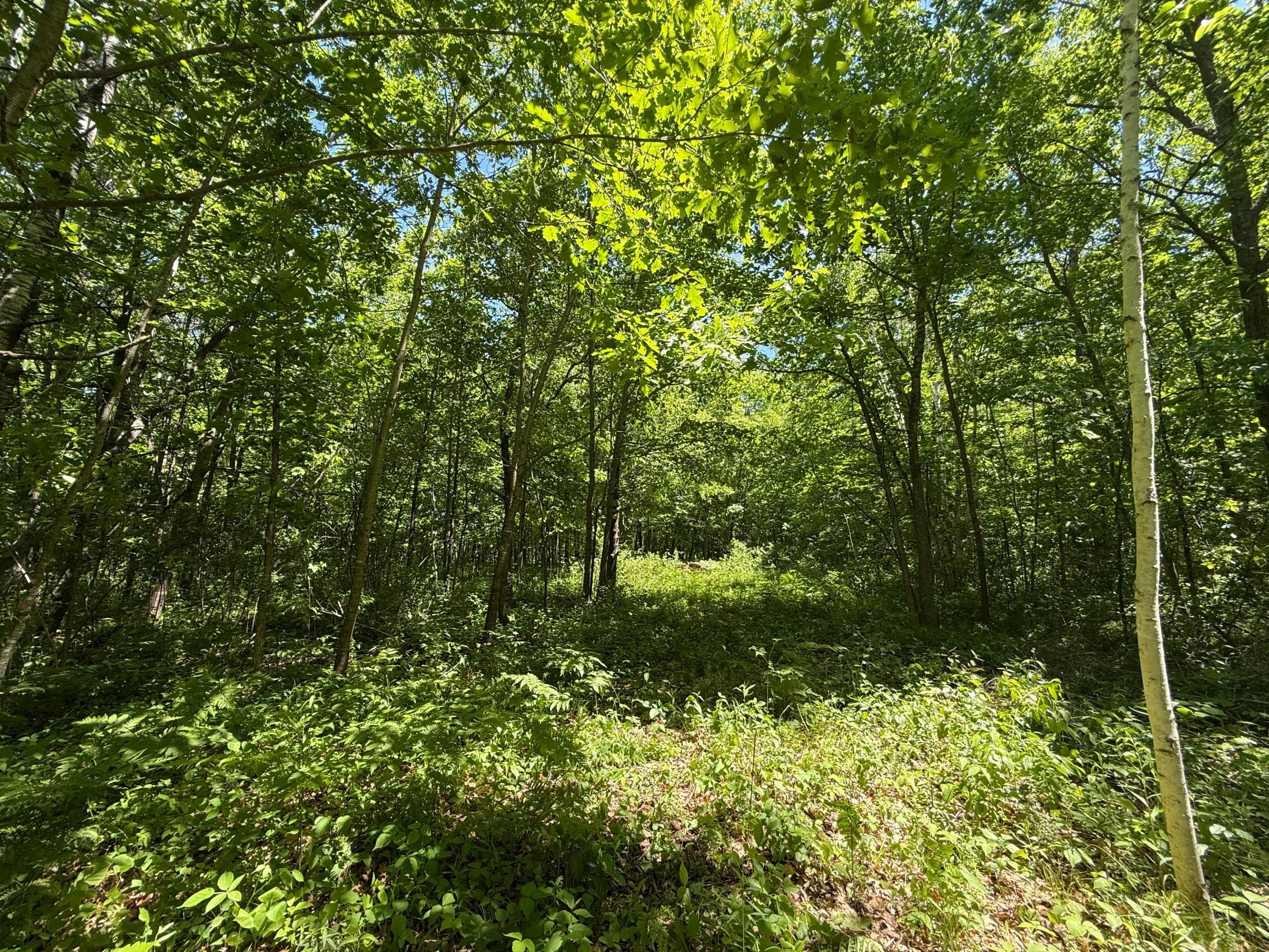 View of Land at TBD Sandhill Crane Ln, Pine City MN 55063, Pine City (9 of 27) - Mike Wilen | Minnesota Team Real Estate