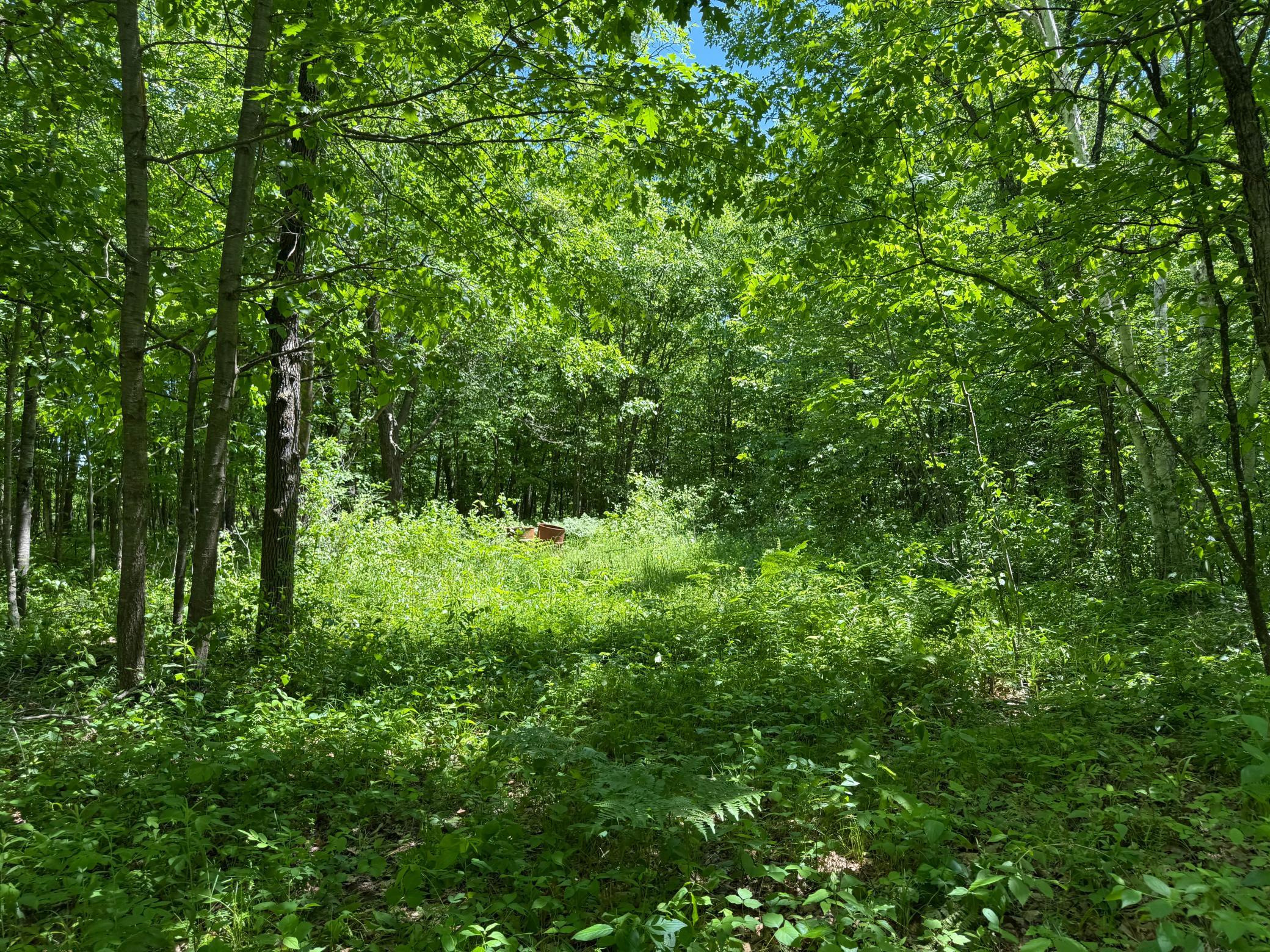 View of Land at TBD Sandhill Crane Ln, Pine City MN 55063, Pine City (20 of 27) - Mike Wilen | Minnesota Team Real Estate